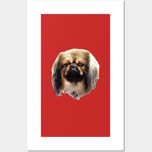 Pekingese Portrait Posters and Art